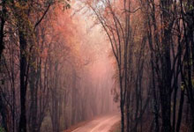 八分王联手76人擒勇士场上表现抢眼