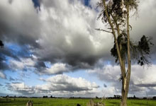 八分王联手76人擒勇士场上表现抢眼