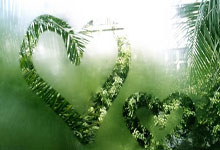 八分王联手76人擒勇士场上表现抢眼