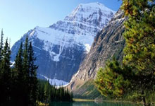 曼联或放弃1500万签内维斯，接洽后不满意！阿莫林冬窗恐一无所获