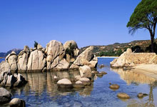 八分王联手76人擒勇士场上表现抢眼